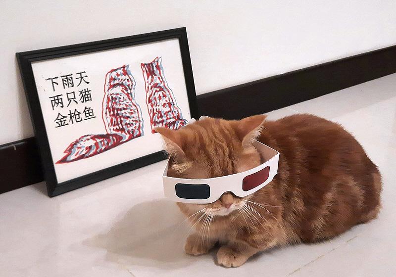 An orange cat wearing anaglyph glasses sitting in front of a framed anaglyph illustration of two cats next to a poem that says 'TWO CATS RAINY DAY'
